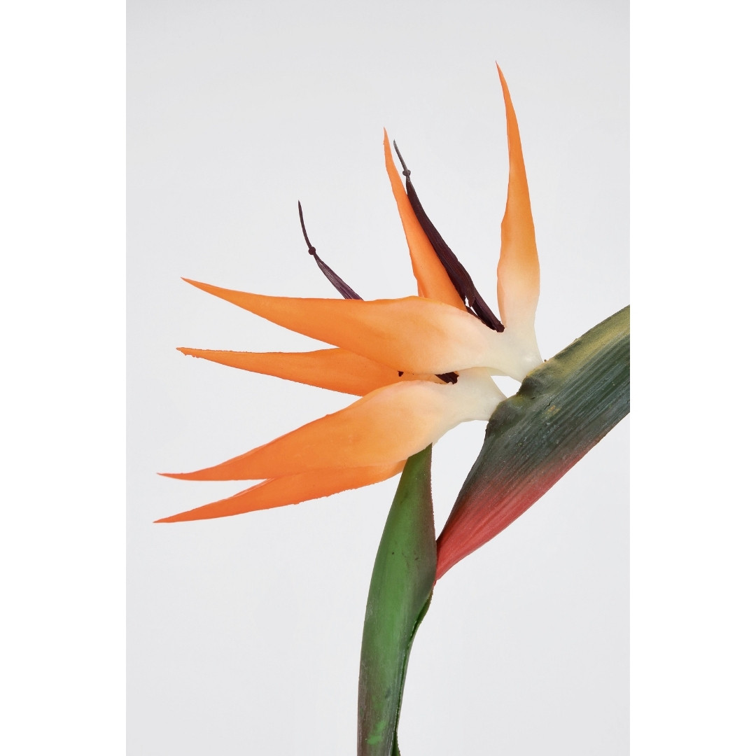 Штучна квітка Стрелітція Strelitzia Jessye orange 98 см
